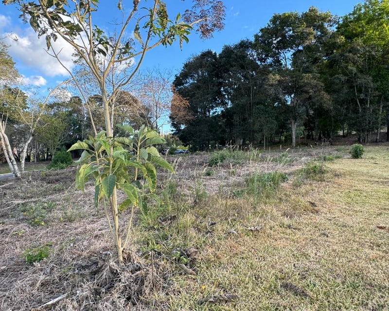 Terreno en venta, en Zona 16