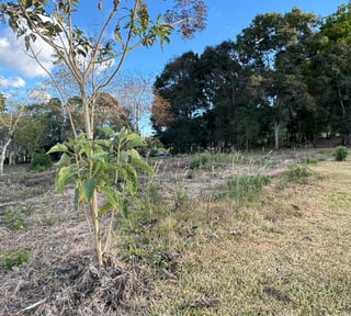 Terreno en venta, en Zona 16