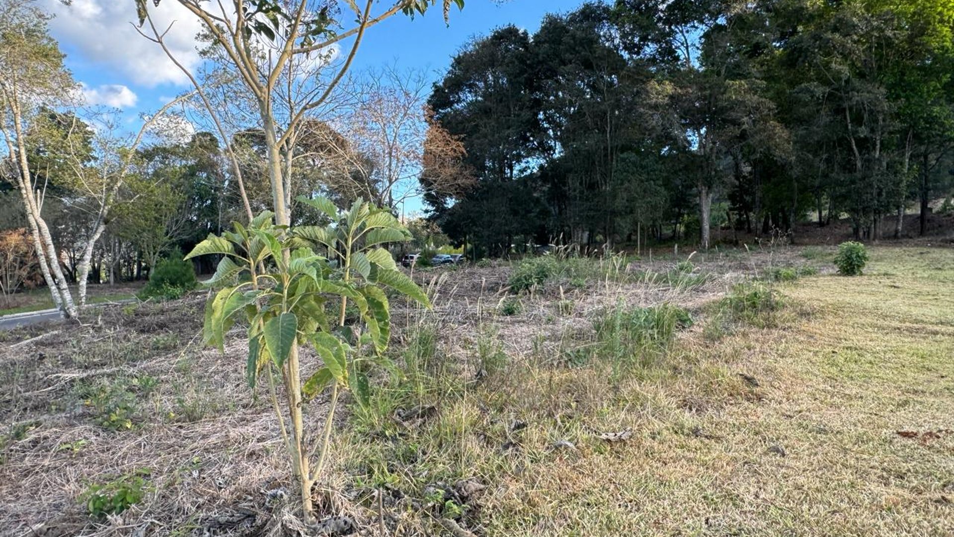 Terreno en venta, en Zona 16