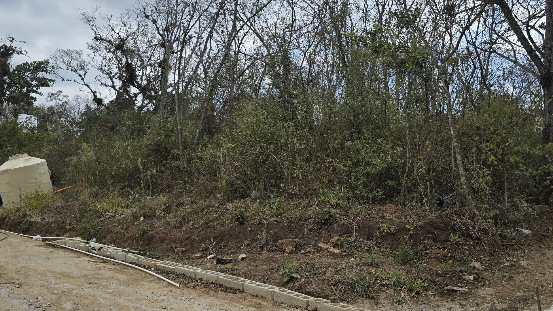 Terreno Exclusivo Zona 16, Ciudad de Guatemala - Miniatura 4
