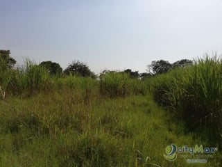 Finca en venta de 115,711.70 vrs. en Masagua, Escuintla - 3