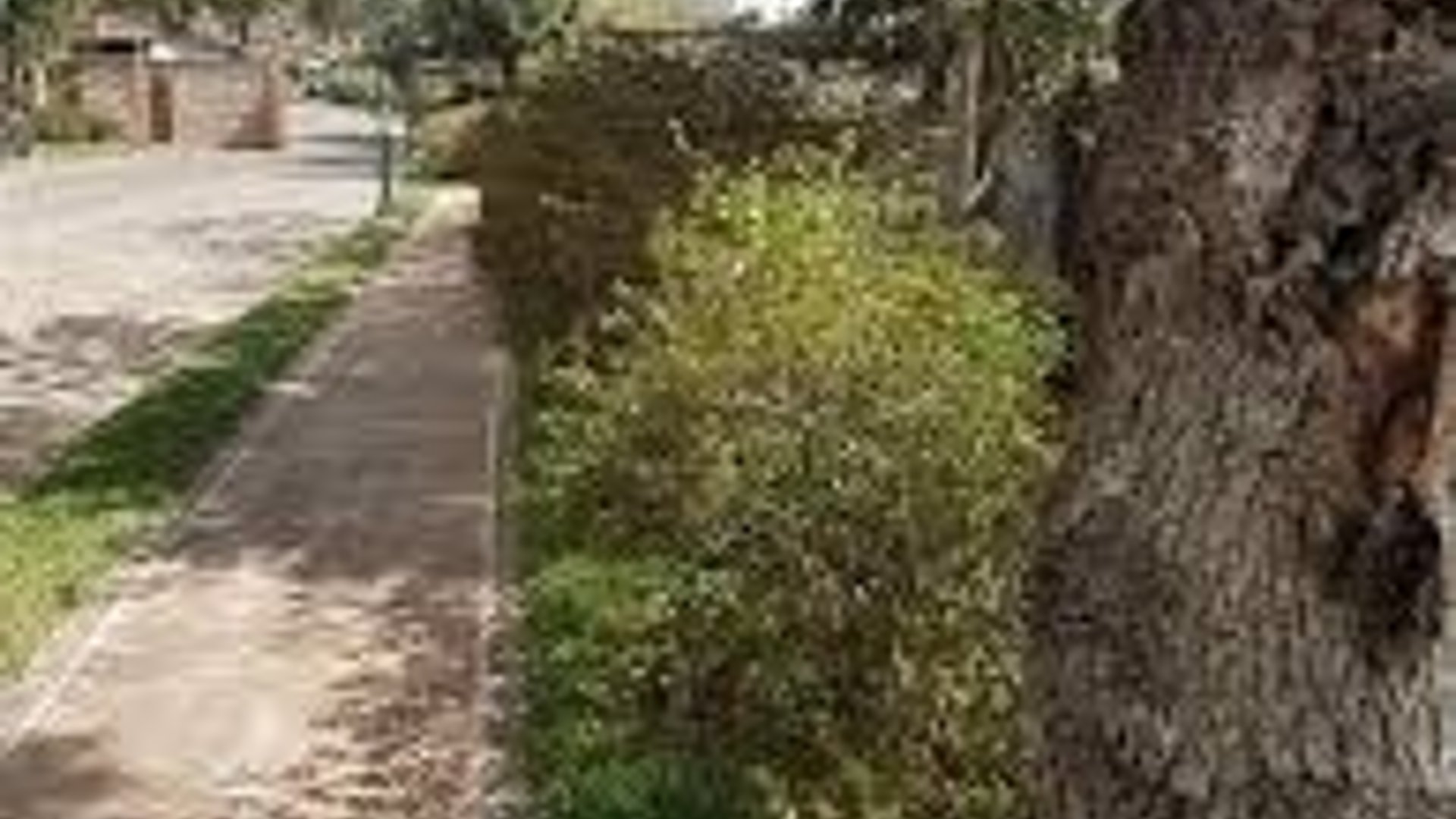 Precioso terreno en San Agustin -Finca Filadelfia Antigua - Miniatura 3