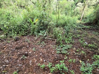 Terreno Residencial en Venta Carretera a El Salvador - 4