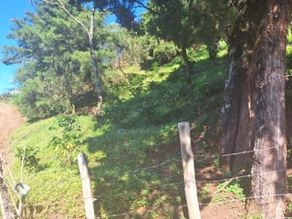 Terreno en Venta Santa Rosa de Lima - Image 7