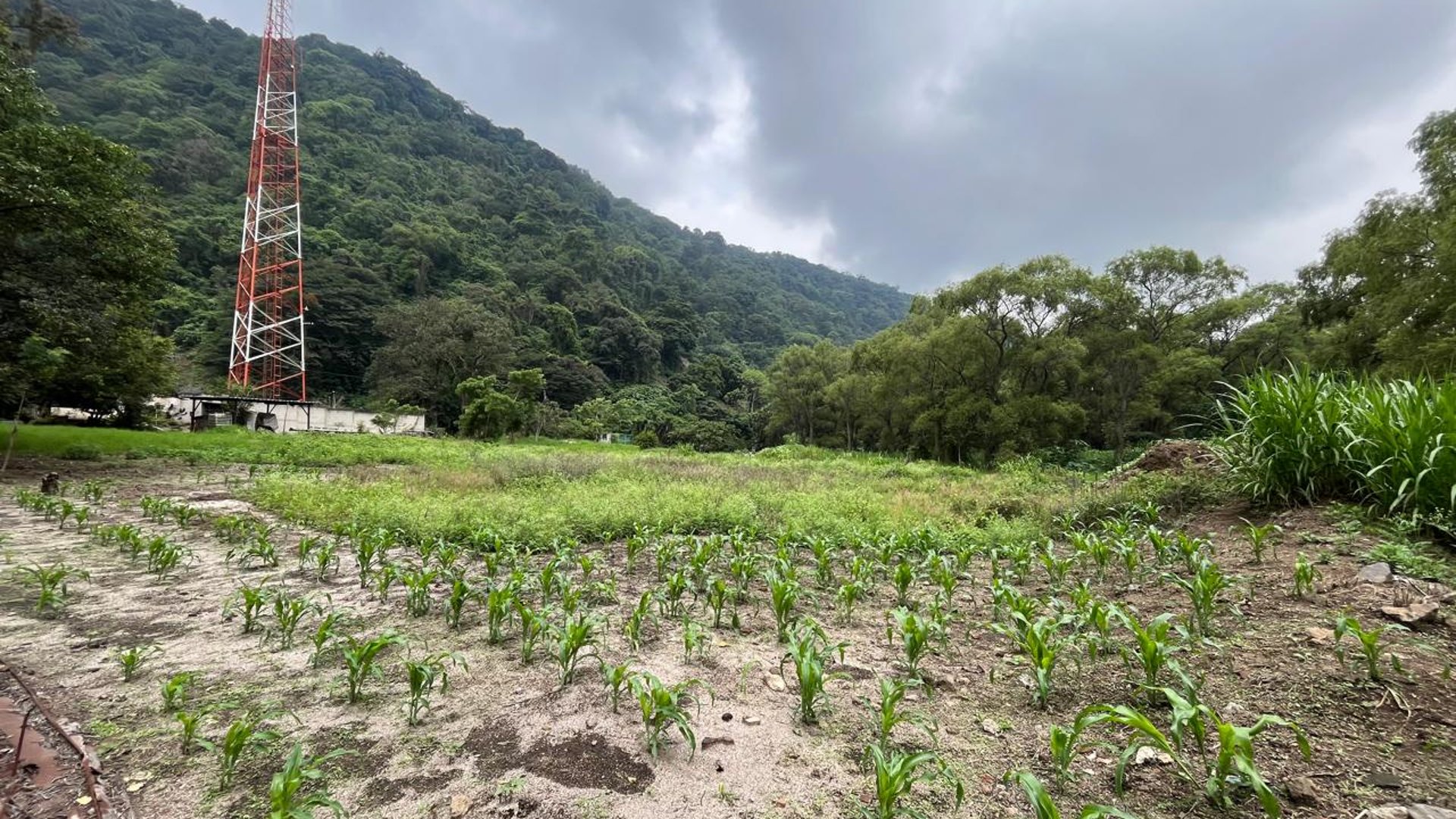 VENTA Terreno Los Sauces Km.37 Palín Escuintla - Miniatura 3