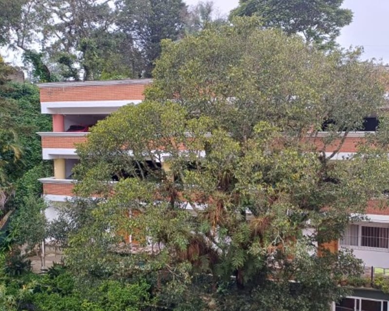 Apartamento en Renta Zona 16 La Montaña Tipo Efficiency