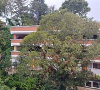 Apartamento en Renta Zona 16 La Montaña Tipo Efficiency