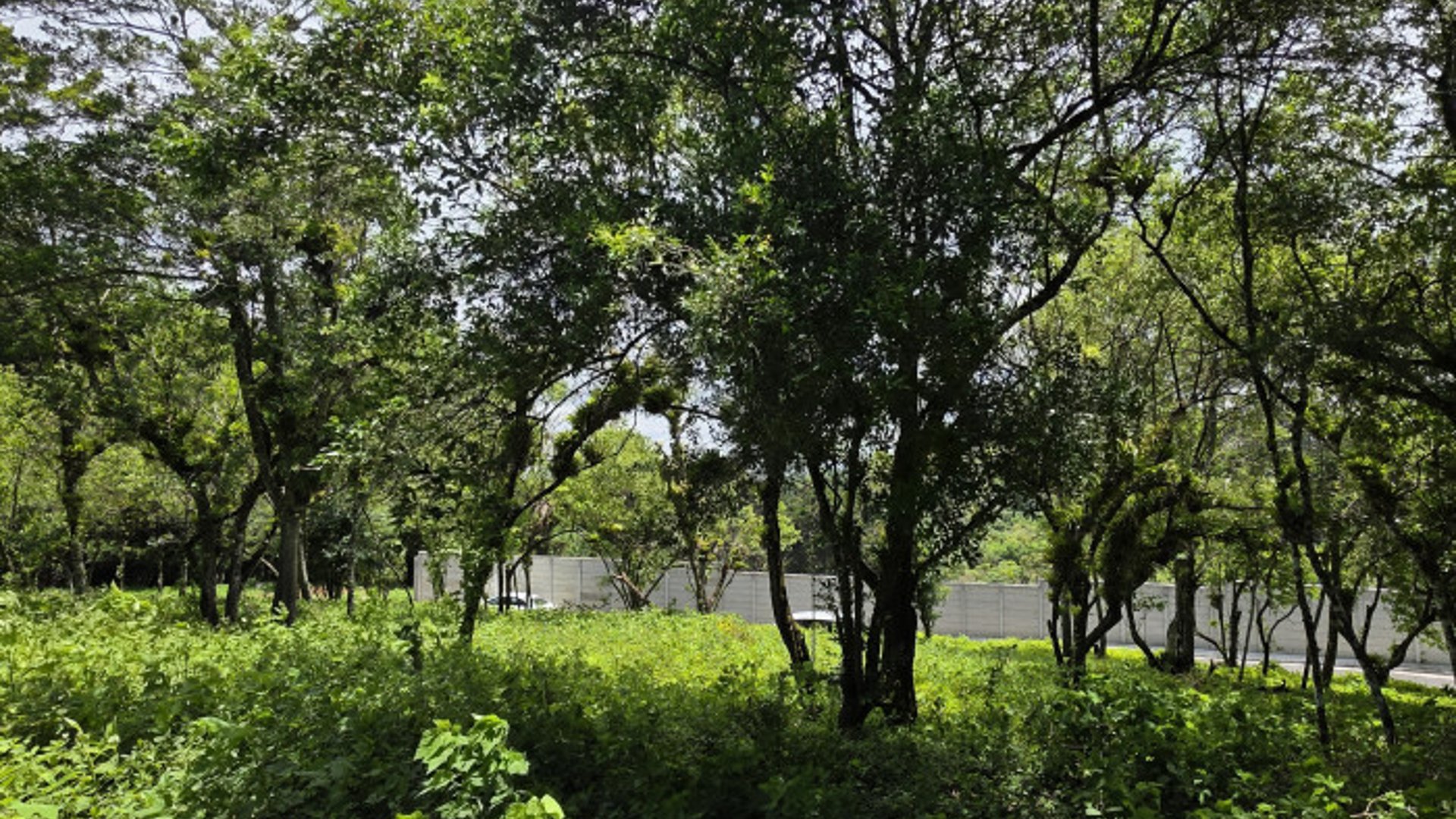 Terreno Venta Altos San Vicente Sta. Catarina Pinula - Miniatura 9
