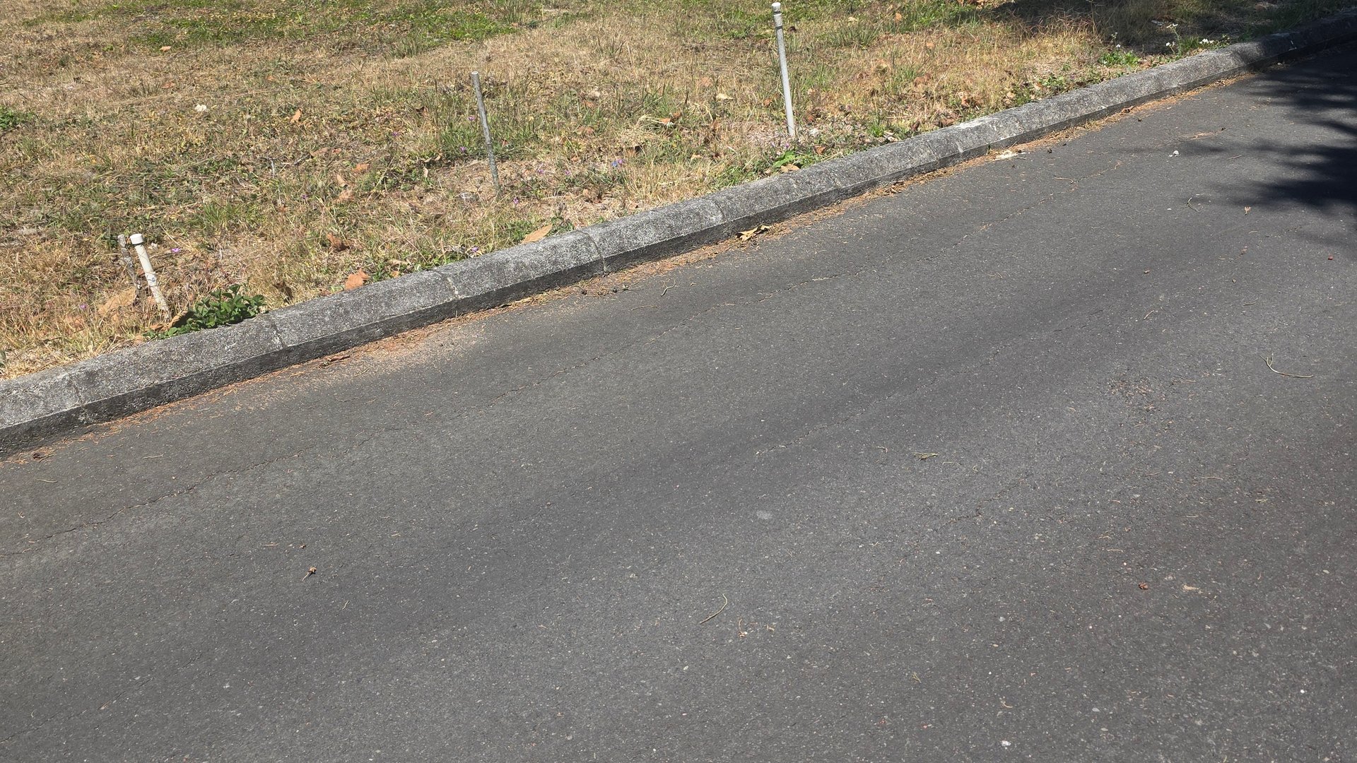EXCELENTE OPORTUNIDAD TERRENO URBANIZADO DENTRO DE GARITA - Miniatura 4