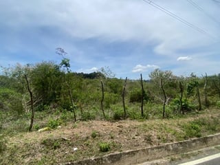 Finca en el km21 carretera a Fraijanes - 3
