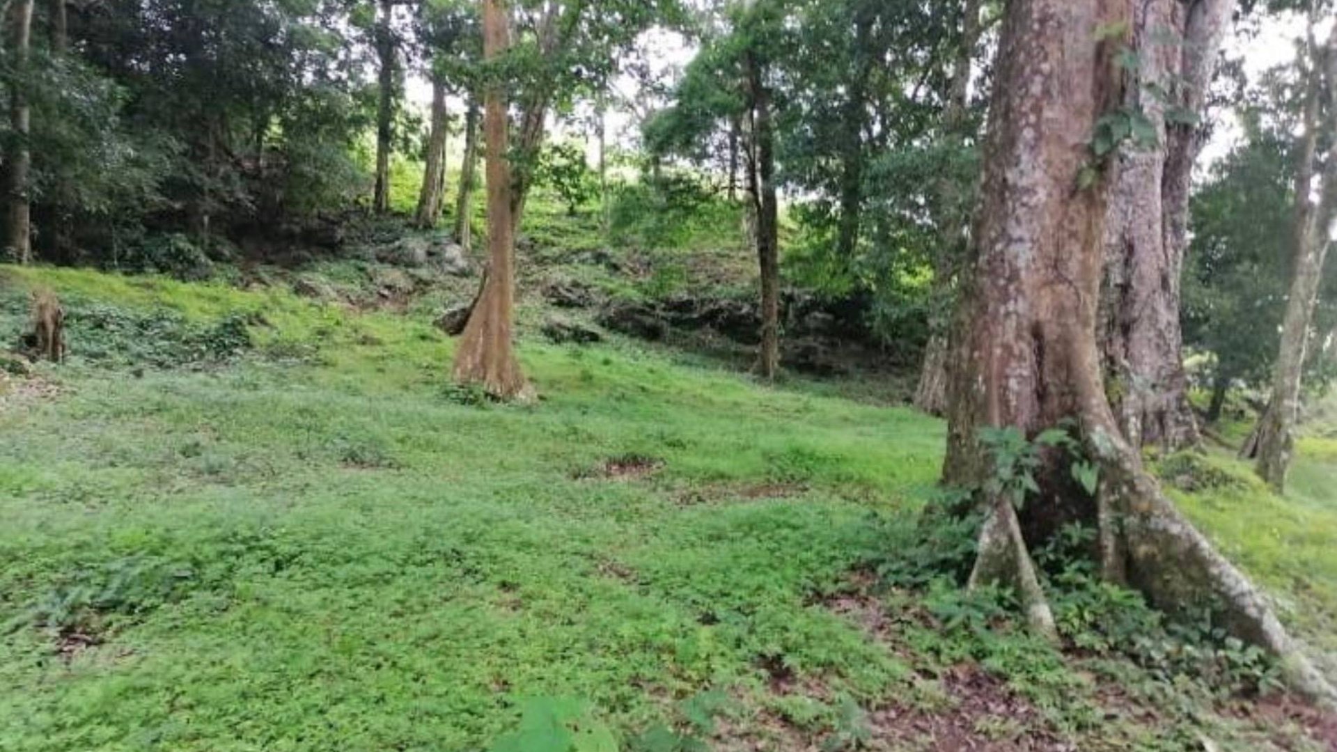 Finca en venta en Oratorio Santa Rosa, Jutiapa  - Miniatura 7