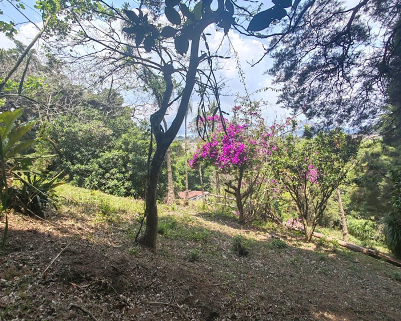 Terreno en venta Santa Elena Barillas Guatemala