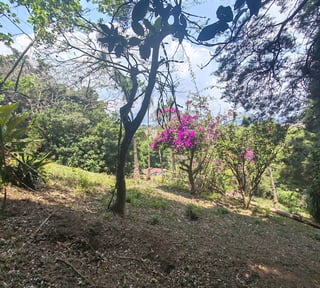 Terreno en venta Santa Elena Barillas Guatemala
