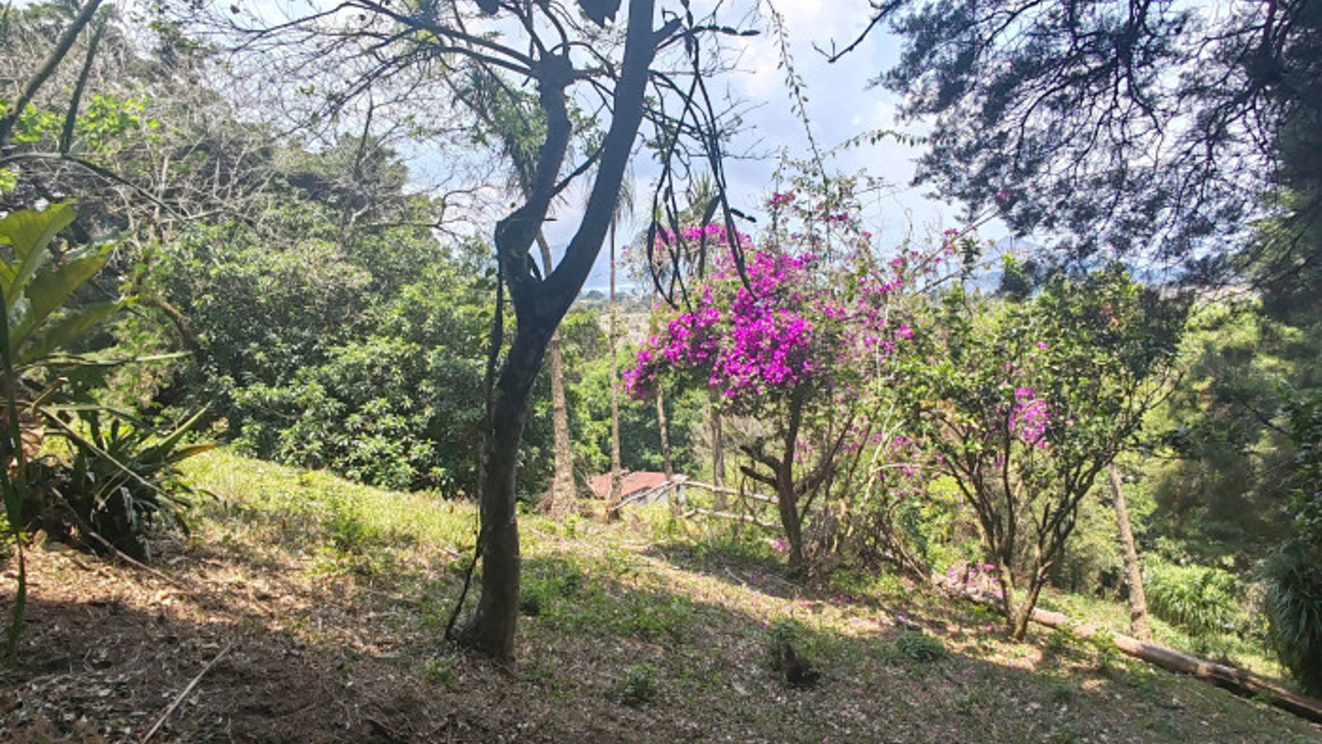 Terreno en venta Santa Elena Barillas Guatemala