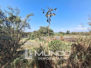 FINCA EN VENTA KM. 68 CARRETERRA ANTIGUA AL PUERTO SAN JOSE - 5