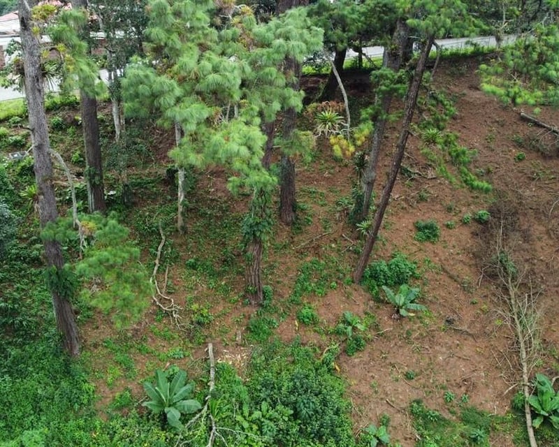 Terrenos en VENTA en Santa Rosalía