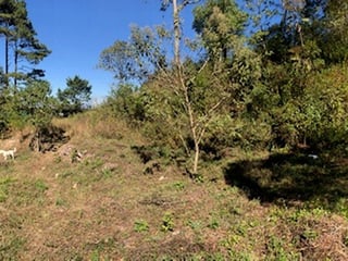 Terreno en Venta Carretera a El Salvador Km 16.5 Aldea El Pajón Vista al Suroest - 5
