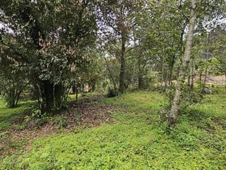 TERRENO EN VENTA SAN LUCAS KM 31.5 CARRETERA ANTIGUA - 4