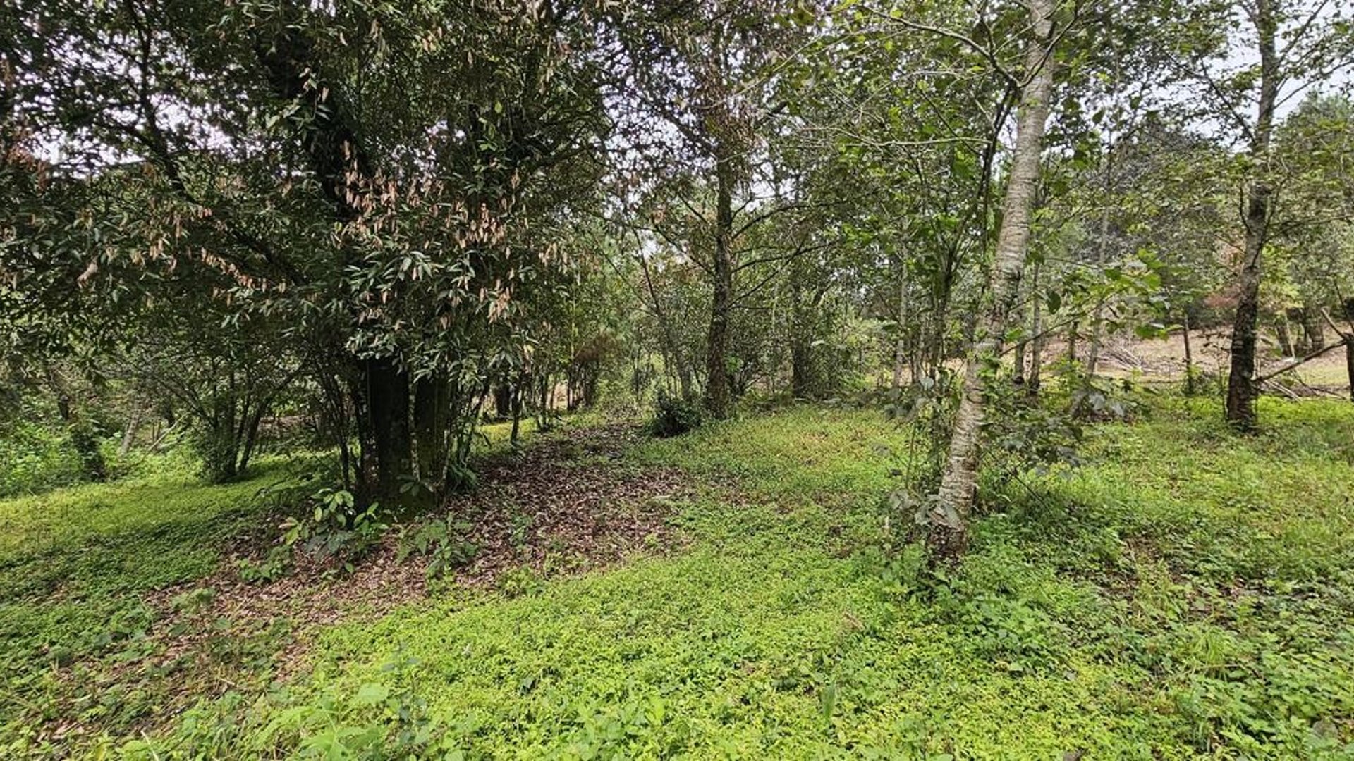TERRENO EN VENTA SAN LUCAS KM 31.5 CARRETERA ANTIGUA - Miniatura 4