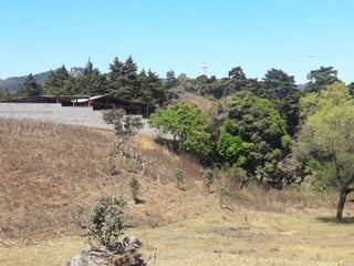 Amplio terreno con casa en venta en San José Pínula - 3