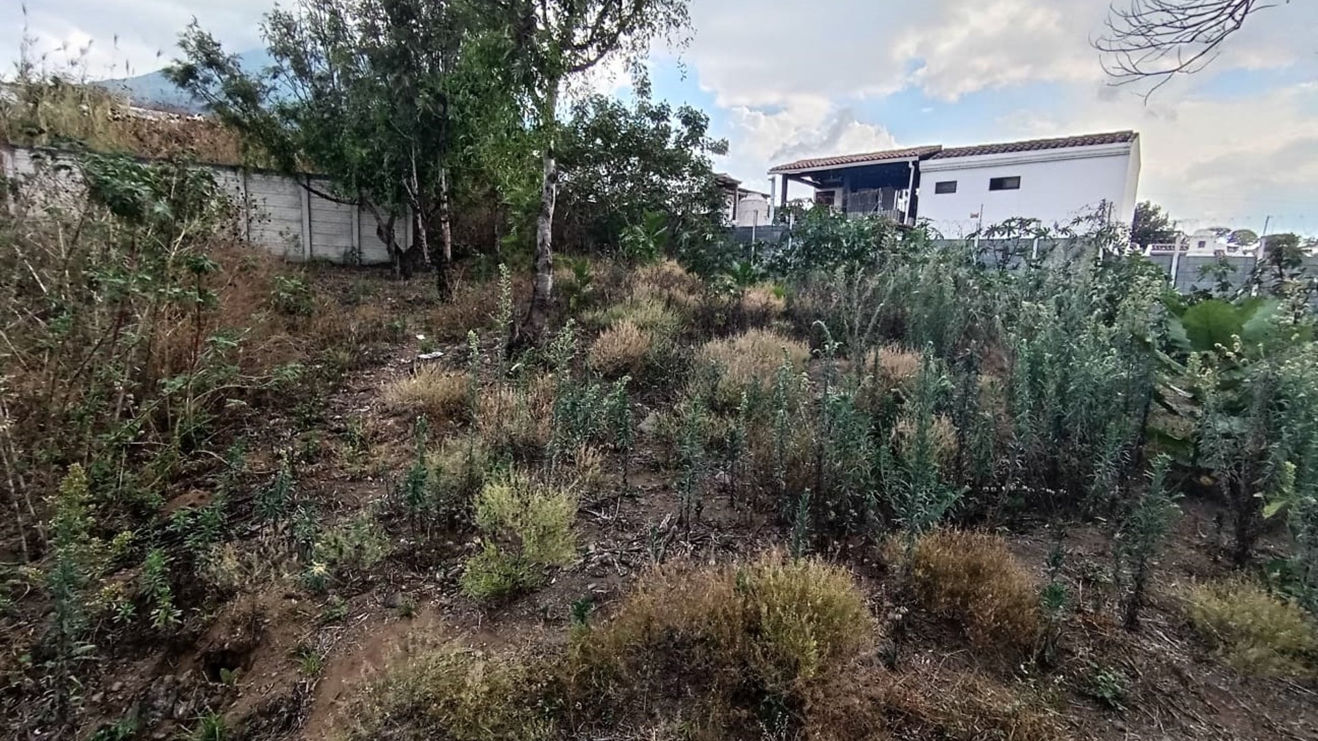 Terreno amplio en San Pedro Las Huertas - Miniatura 3