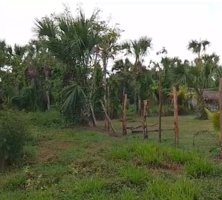 TERRENO EN VENTA – ALDEA EL CEBOLLITO, HAWÁI CHIQUIMULA