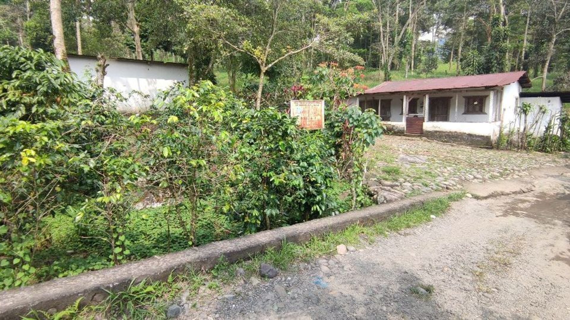 Finca en VENTA de 2 caballerías en Chicacao, Suchitepéquez - Miniatura 12