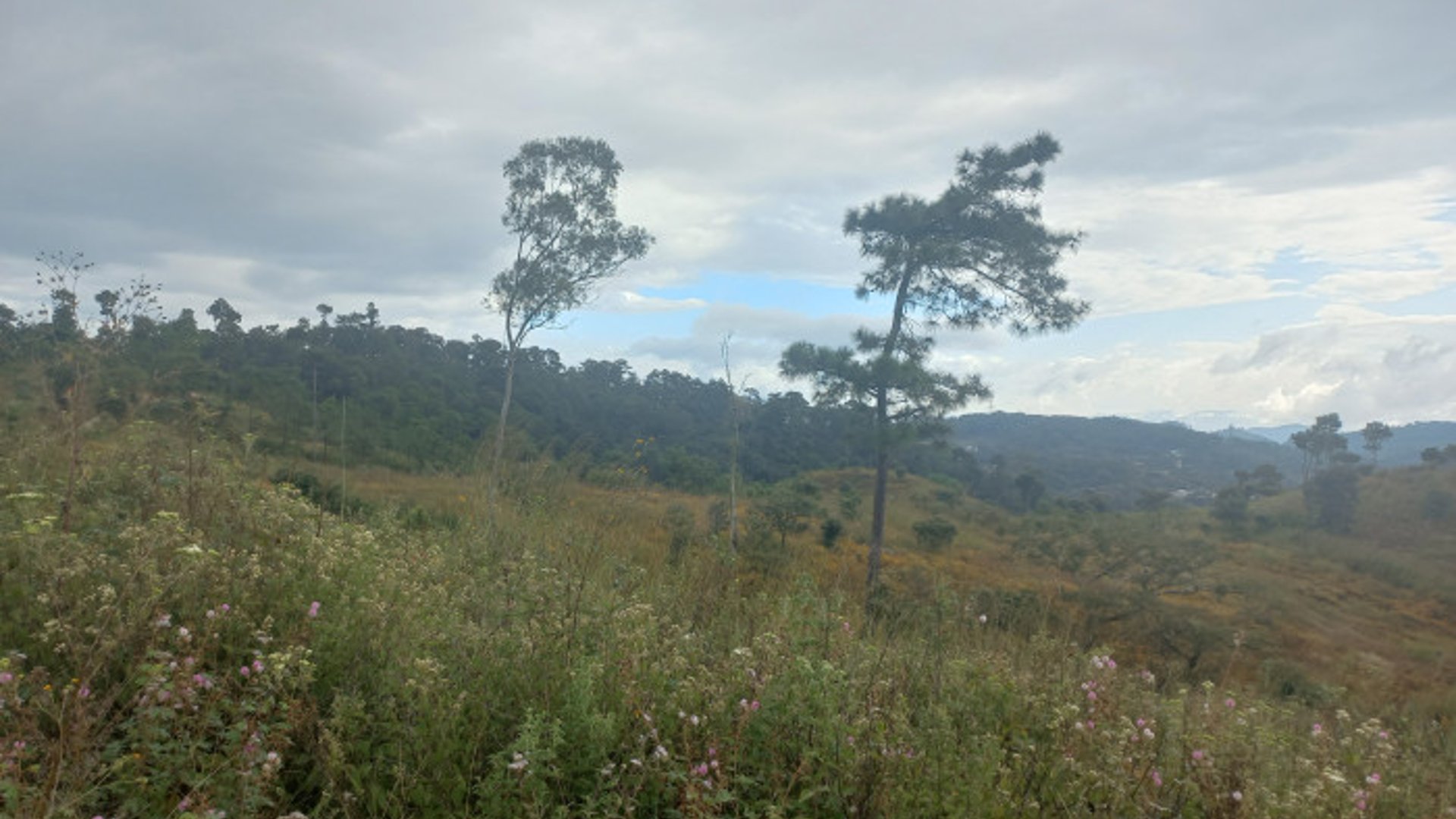 Terreno Comercial área San Pedro Ayampuc - Miniatura 9