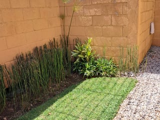 Casa de un nivel en venta en zona 10 ideal para oficinas en venta y renta - 3