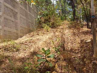 EL ENCINAL/ TERRENO EN VENTA - 3