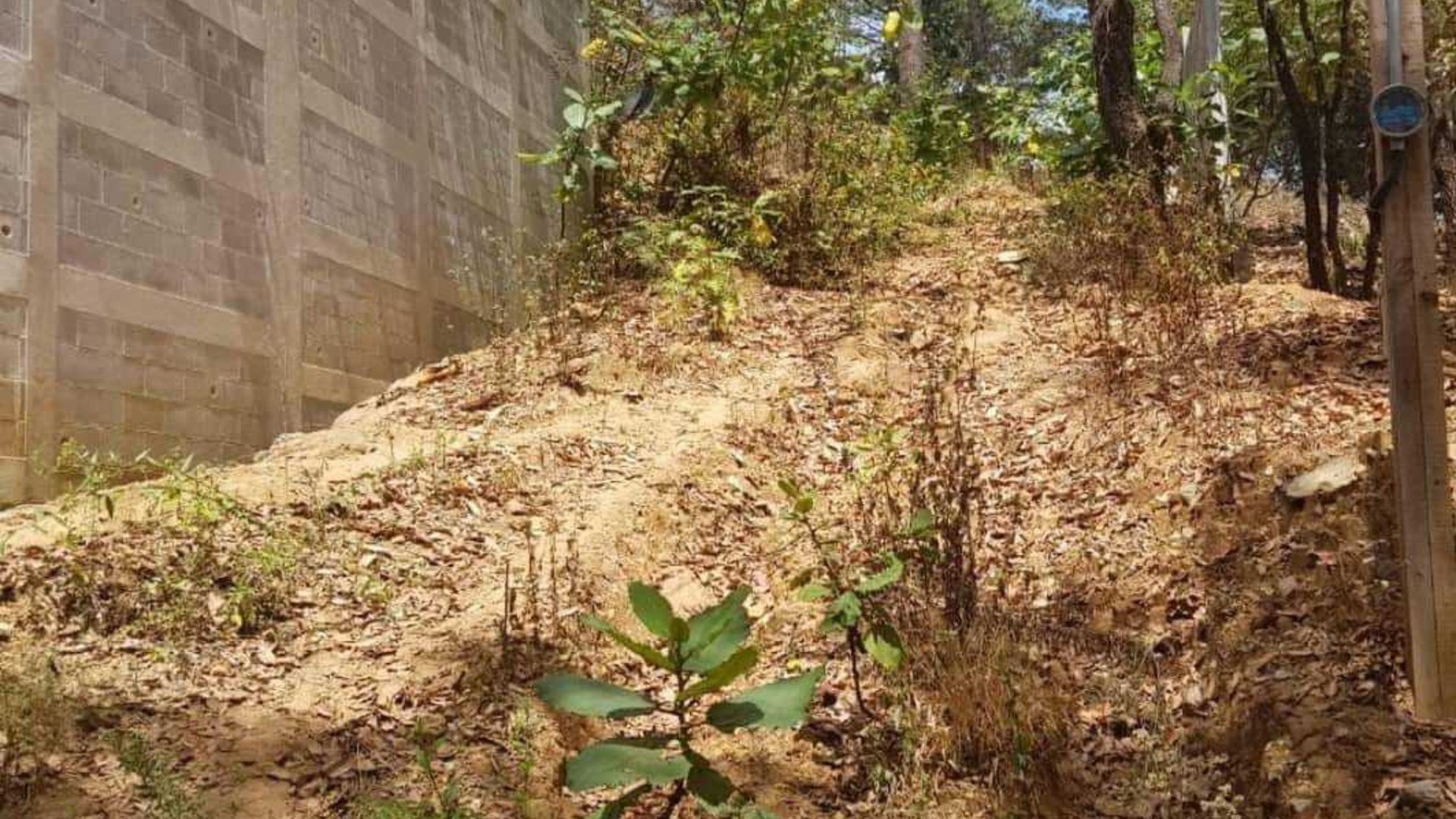 EL ENCINAL/ TERRENO EN VENTA - Miniatura 3