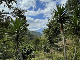 GANGA! FINCA de 19 MANZANAS en Milpas Altas - 2