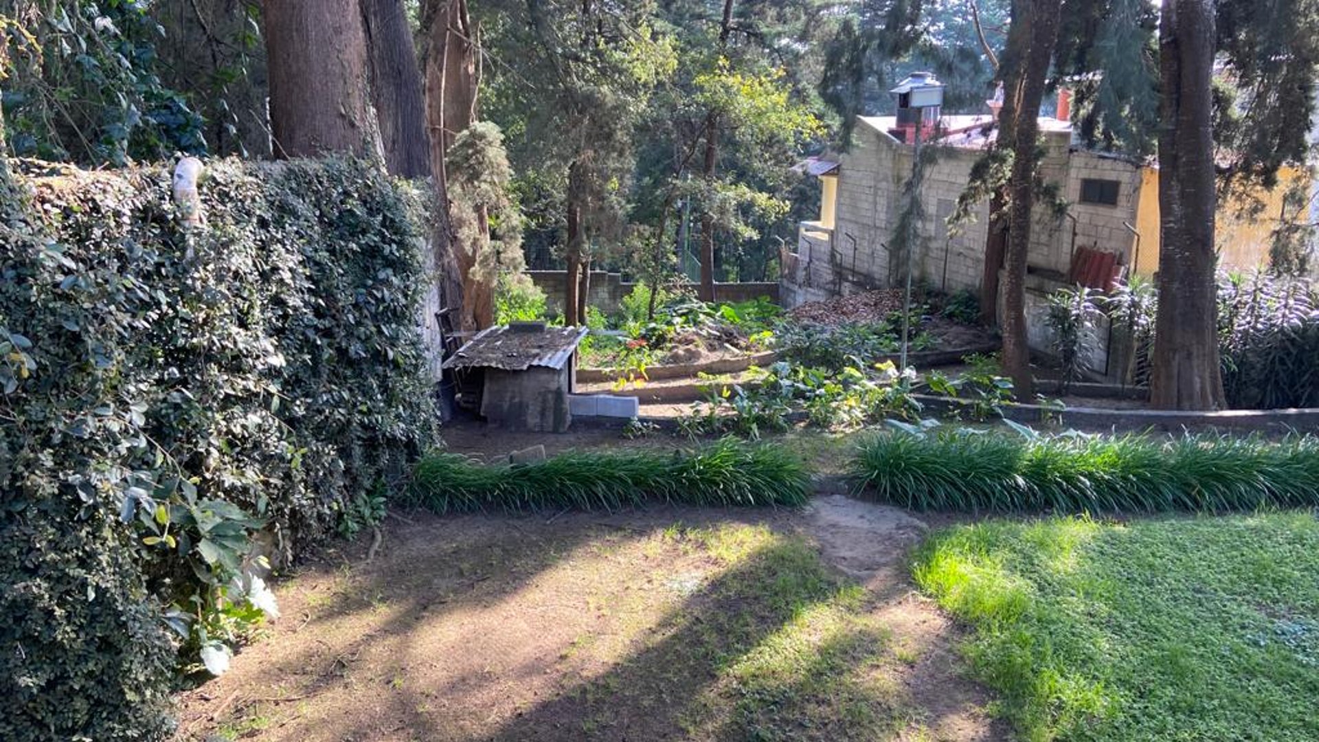 PROPIEDAD EN VENTA / RENTA EN SAN LUCAS - Miniatura 4