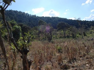 EXCELENTE FINCA EN VENTA SAN MIGUEL PETAPA SUR - 3
