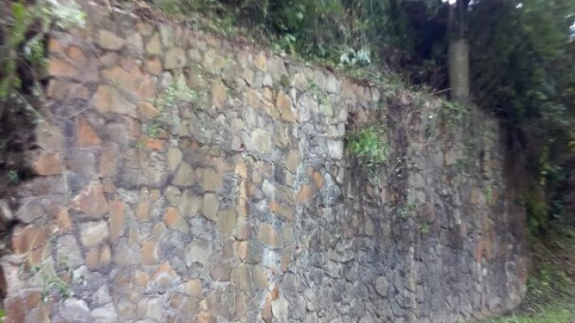 Amplio Terreno residencial en venta El Encinal. - Miniatura 6