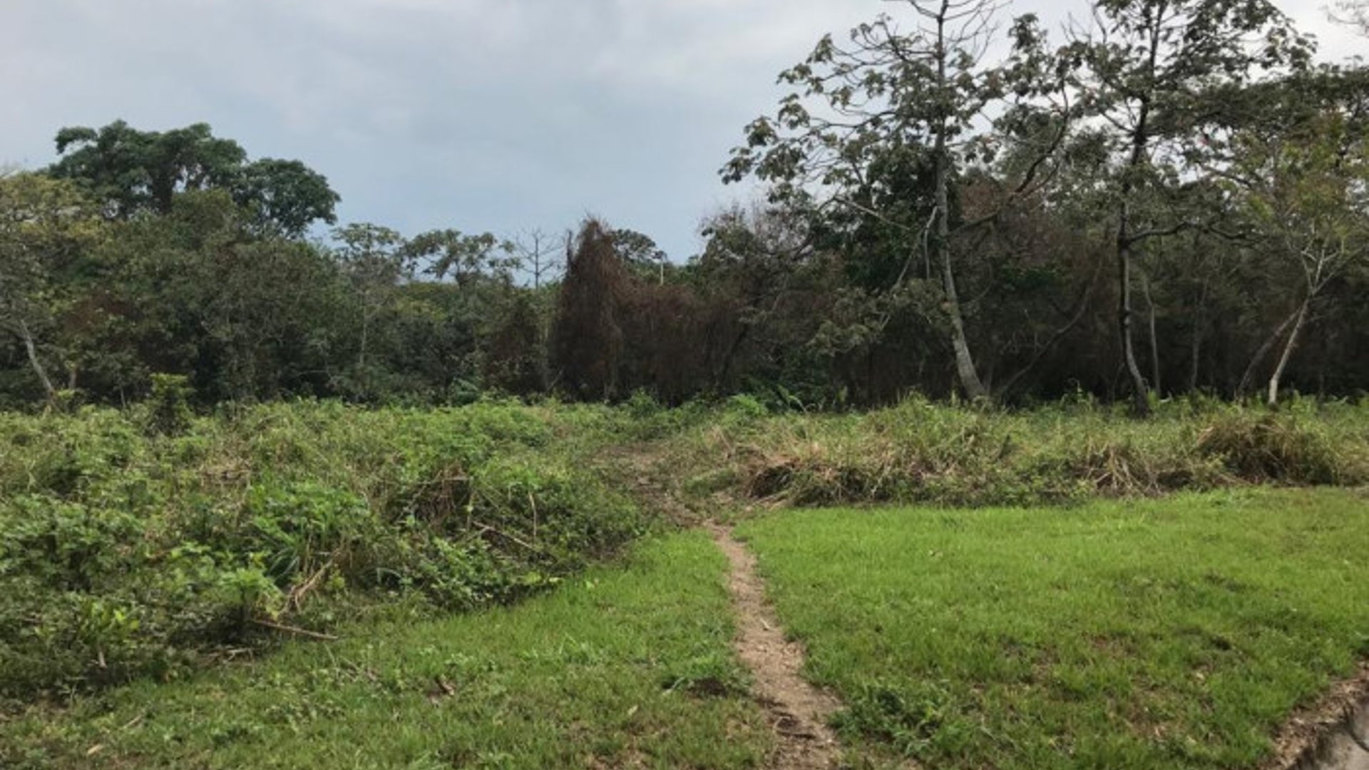 TERRENO EN VENTA CAMPO AVENTURA PALIN ESCUINTLA - Miniatura 3