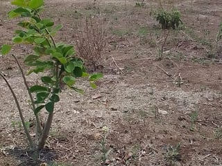 ¡Terreno en Bárcenas, Villa Nueva, ideal para desarrollo! - 3