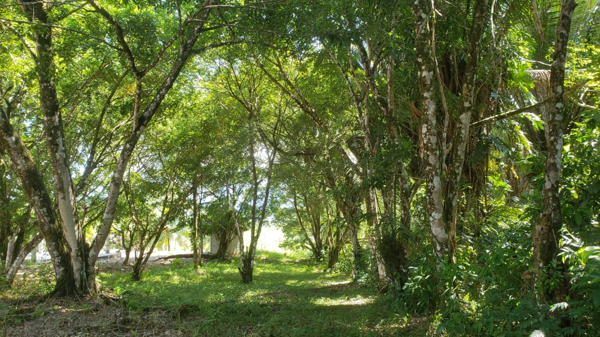 Propiedad en venta, Rio Dulce - Miniatura 8