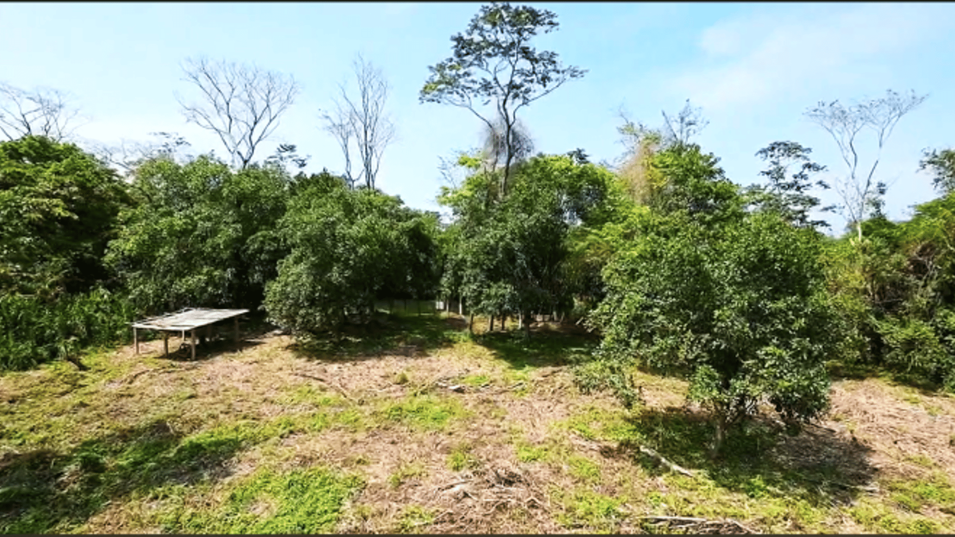 TERRENO EN VENTA EN RIO DULCE - Miniatura 3