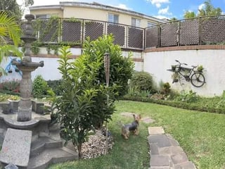 Vendo Amplia Casa en zona 11, Mariscal - Image 21