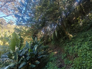 Finca en Venta de 9 manzanas en Fraijanes Guatemala - Image 11