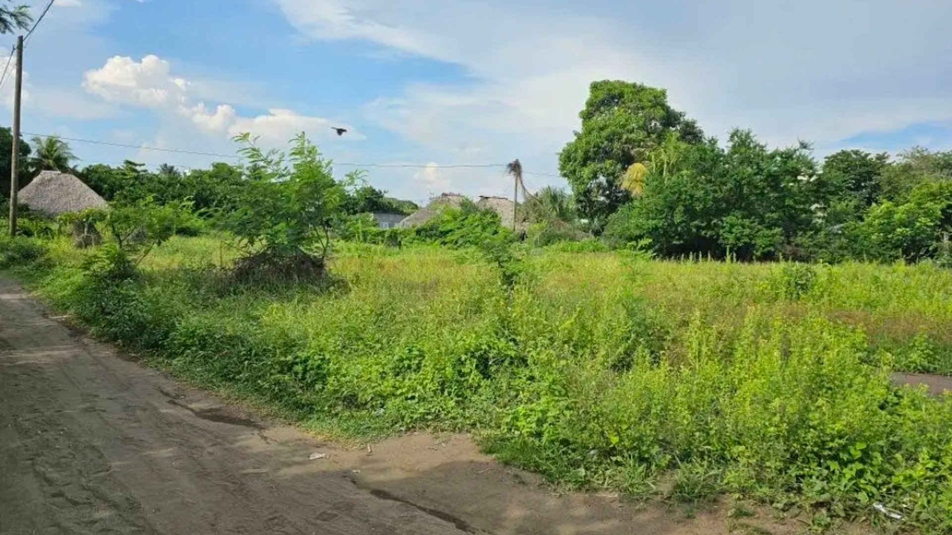 Terreno en Monterrico - Miniatura 5