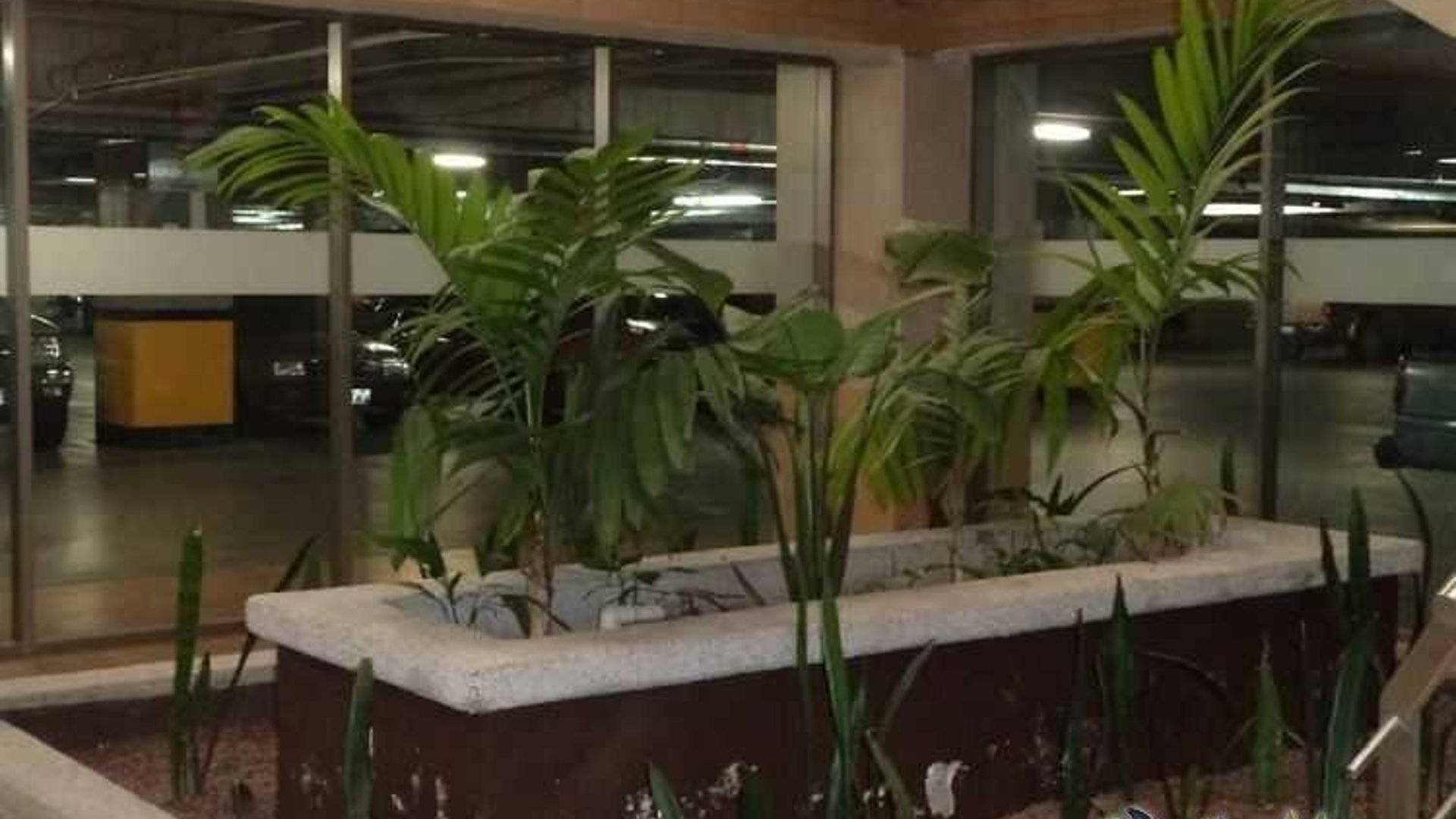 Local en Food Court zona 17 acreditado - Miniatura 4