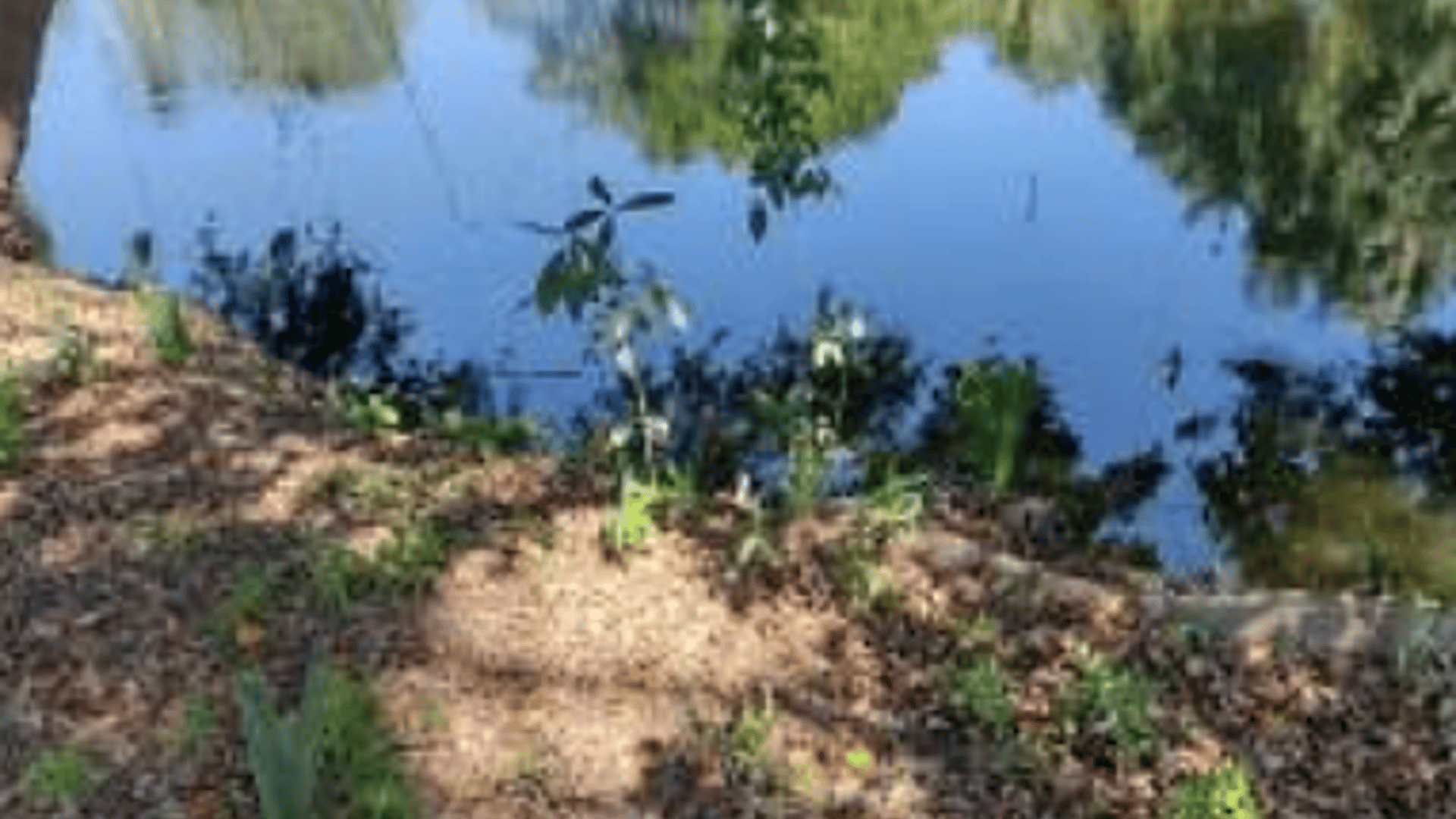 Terreno en VENTA en las Lisas Chiquimulilla - Miniatura 7