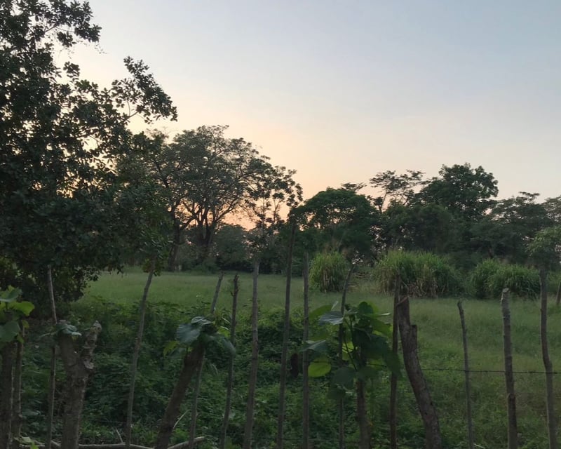 Terreno en venta, en Escuintla