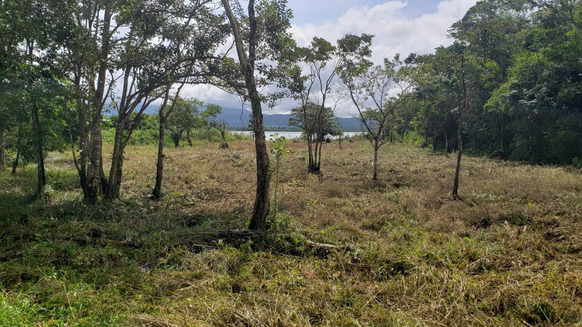 Propiedad en venta, Rio Dulce - Miniatura 19