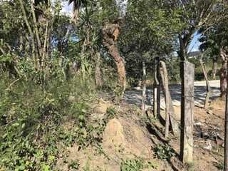 Finca en venta en San Pedro Ayampuc de 7.6 Manzanas - Image 12