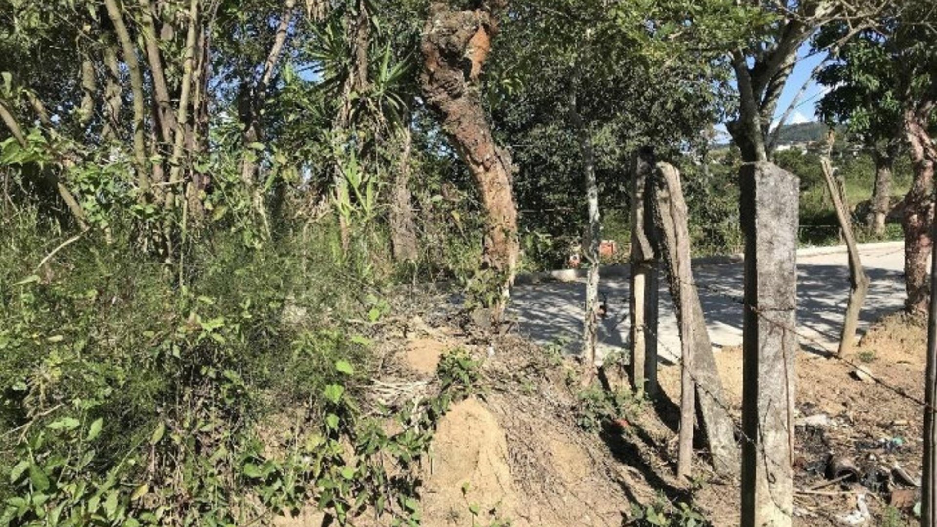 Finca en venta en San Pedro Ayampuc de 7.6 Manzanas - Miniatura 12