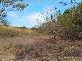 Terreno en Venta Chiquimulilla, Santa Rosa  - 5