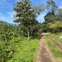 GRANJA EN PALIN ESCUINTLA
